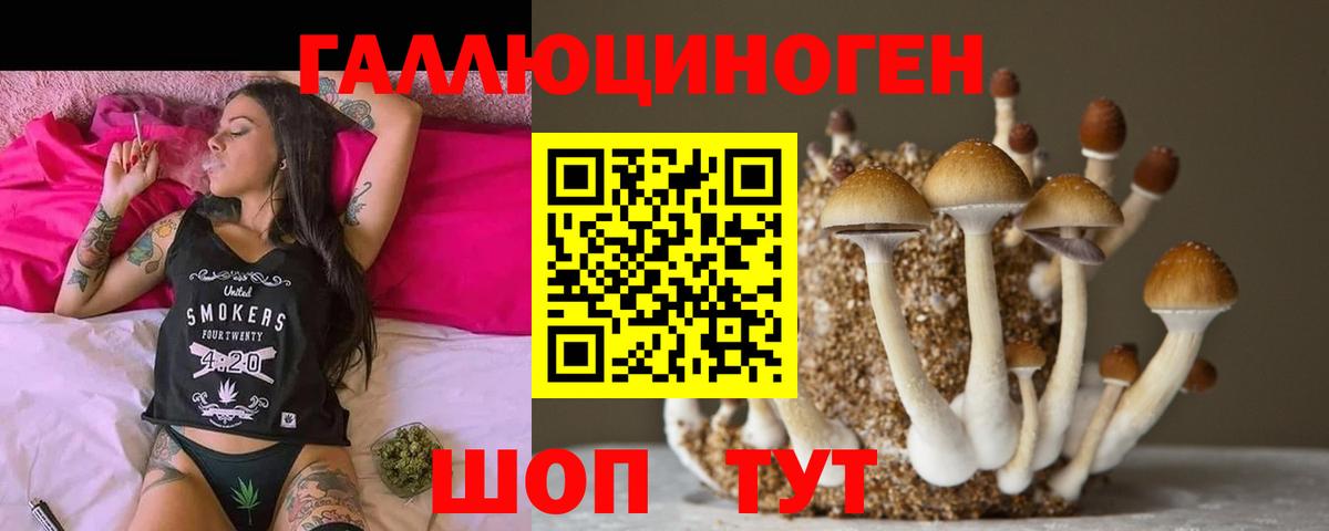 Галлюциногенные грибы Cubensis  купить  цена  Мурино  Вход с VPN 